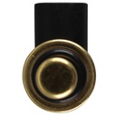 55591401i