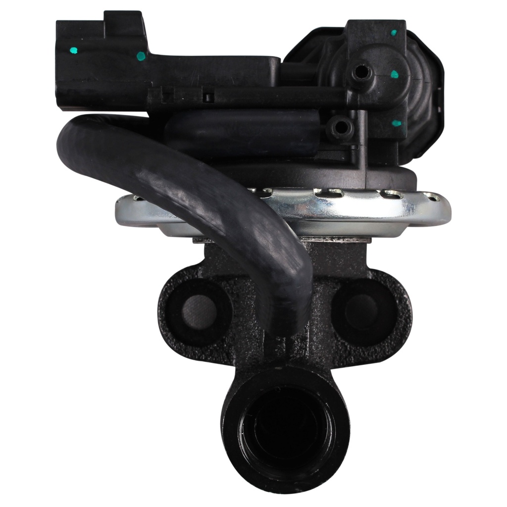 EGV1136i